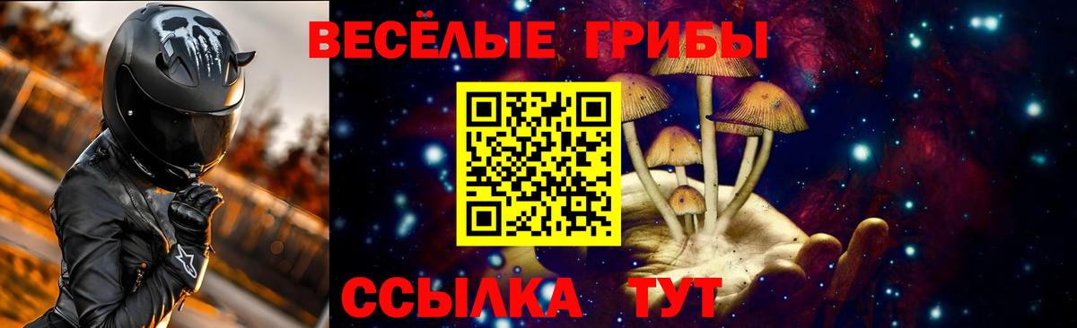 Торжок  Галлюциногенные грибы Psilocybine cubensis  Галлюциногенные грибы прущие грибы  Вход с VPN 